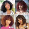 Sleek Jerry Curly Short Pixie Cut Bob Brazilian - Image 5