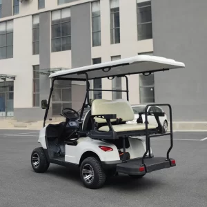 Electric Golf Cart