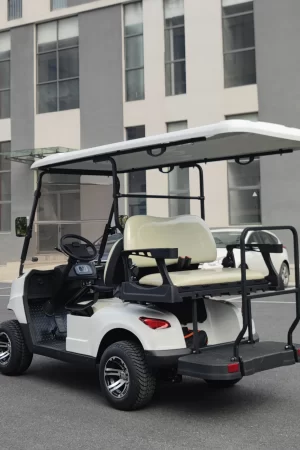 Electric Golf Cart