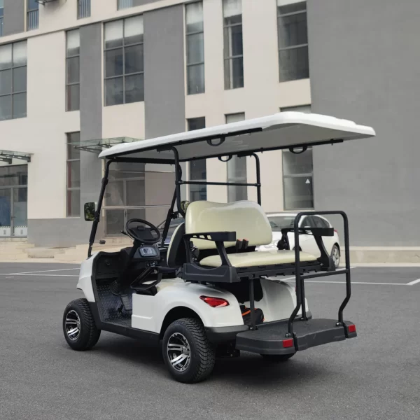Electric Golf Cart